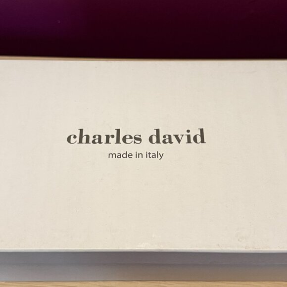 Charles David Lonnie Double Buckle Slides – Nude Croc Sandals 8.5 - Picture 2 of 6